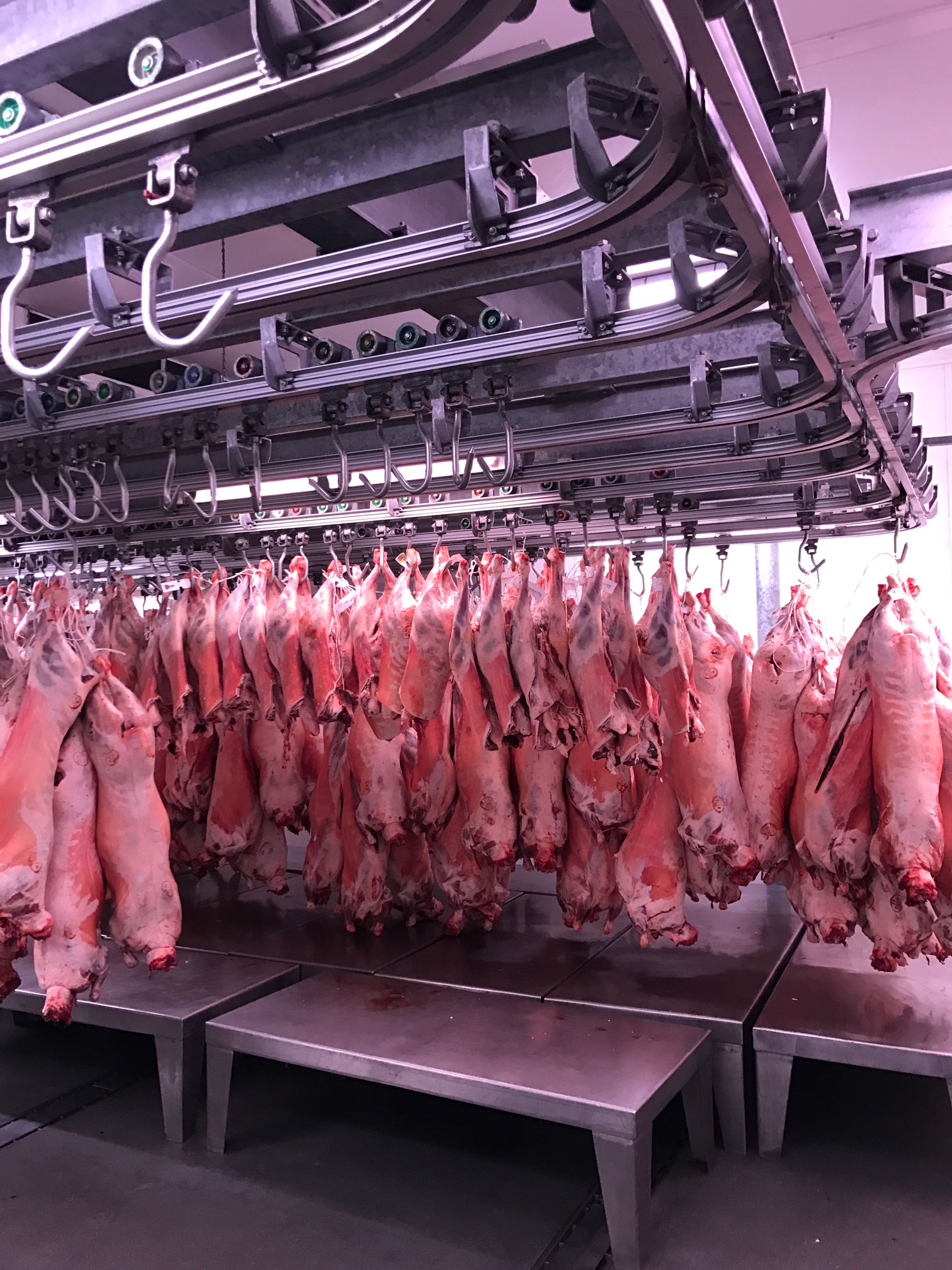 Meat Rail System - Leading UK Supplier • AES Food Equipment