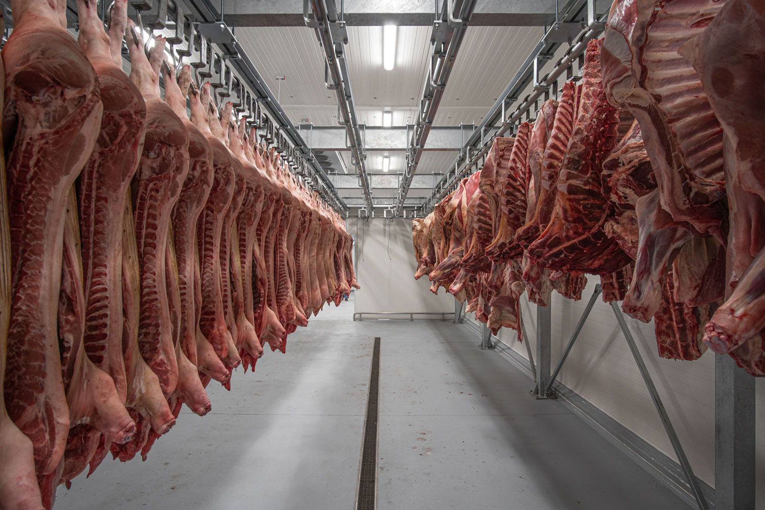 Tubular Meat Rail Systems from AES Food Equipment | Round Bar