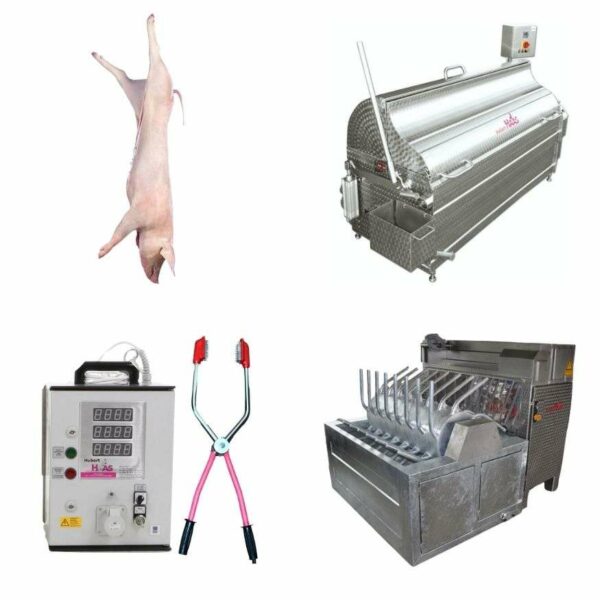 Pig