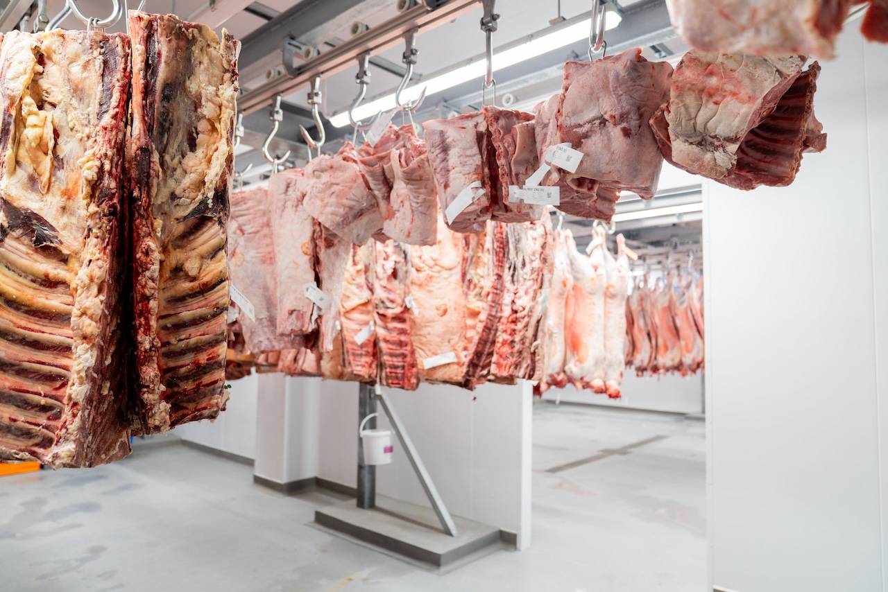 Case Study: HG Walter’s New Meat Processing Facility